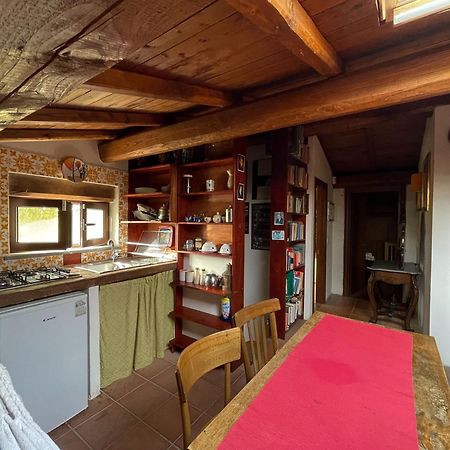 CampoleoneCountry House Tra Lago E Mare A Sud Di Roma别墅 外观 照片