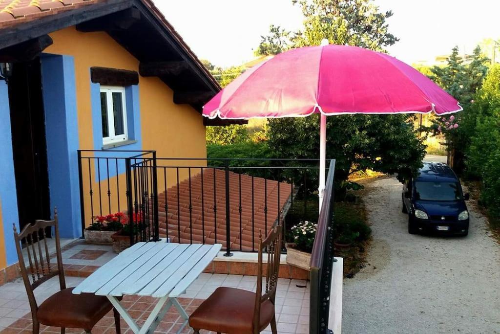 CampoleoneCountry House Tra Lago E Mare A Sud Di Roma别墅 外观 照片