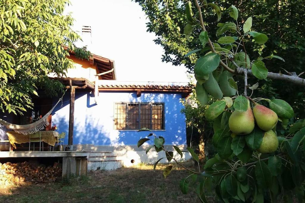 CampoleoneCountry House Tra Lago E Mare A Sud Di Roma别墅 外观 照片